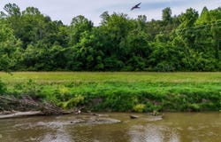 Anglers Way Road, Duffield, VA 24244