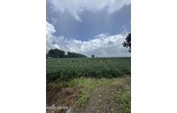 Tennessee 78, Ridgely, TN 38080