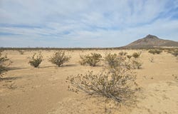 15470 Agatha Rd, Alpine, TX 79830