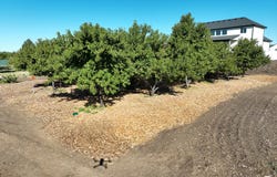 2114 W 800 N, Clinton, UT 84015