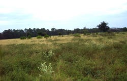 201 LR 725, Ashdown, AR 71822
