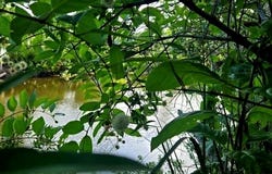 State Rd 349, Suwannee, FL 32692