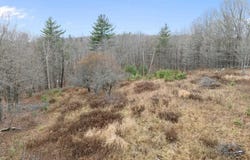 Contro Road, Chester, VT 05143