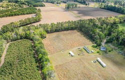 6.5 Acres Christine Pl., Hemingway, SC 29554
