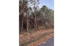 9680 Clash Lane, Lynchburg, SC 29080