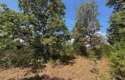 Tract 8 LITTLE WOODS ROAD, Elizabeth, AR 72531