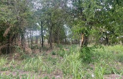 N Rangeline Street, Tecumseh, OK 74873