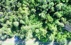 199 COUGAR Way, ROTONDA WEST, FL 33947
