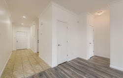 334 Nandina Dr, Buda, TX 78610