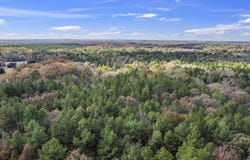 CR 3170, Winnsboro, TX 75494