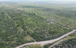 Alejandrenas Road, Zapata, TX 78076