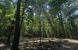 00 VL Deer Trail, Irons, MI 49644