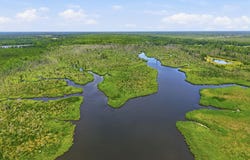 Us 17, Chocowinity, NC 27817