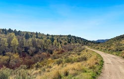 Walker Creek Road, Mccammon, ID 83250