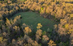 2609 County Road 365, Dora, MO 65637