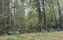 Creekmur Road, Edward, NC 27821