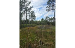 1845 Beacon St, Carrabelle, FL 32322