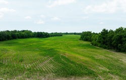 SLADE AVE, Gallatin, MO 64640