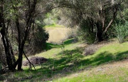 6 Knickerbocker, Ahwahnee, CA 93601