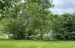 11507 Oak Trl, Austin, TX 78753