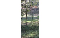 TBD Quail Run, Preston, MO 65732