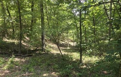 Tract 8 Highway C, Purdy, MO 65734