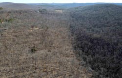 239 Mill Creek Road, Jerusalem, AR 72030