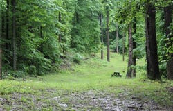 S Benham Mill Road, English, IN 47118