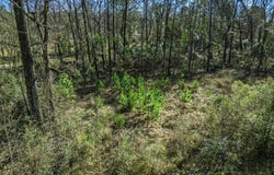 North Park Drive, Arkadelphia, AR 71923