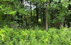 Oak Ridge Hills, Marshall, MI 49068