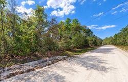 NE 770TH Streets, OLD TOWN, FL 32680