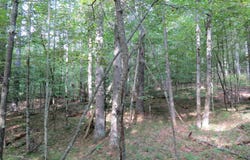 38 Algonquin Lane, Jay, NY 12941