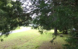 Spring Hollow Drive, Monticello, FL 32344