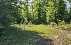 400 TROPHY LN, HESSEL, MI 49745