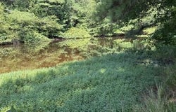 Hwy 190 E, Grapevine, AR 72057