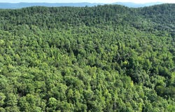 Polk Road 69, Mena, AR 71953