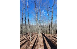Quail Run Ridge, Murphy, NC 28906