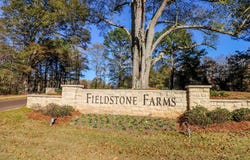 1038 Fieldstone Lane, OXFORD, MS 38655