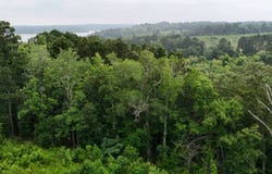 Highline Dr, Zwolle, LA 71486