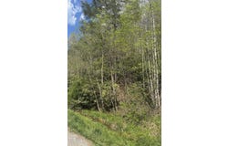 Hurley Runyon Road, Vansant, VA 24656