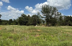 1173 Gonzollas Road, Springtown, TX 76082