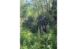 1769 Washington Road, Waldoboro, ME 04572