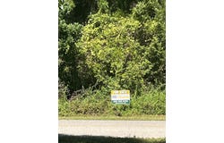 Ryan Drive, Carrabelle, FL 32322