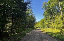 56 Acres Halverson Road, Skandia, MI 49885
