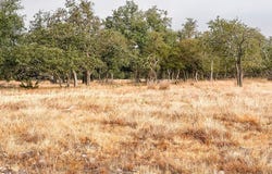 Nott Branch Rd lot: 35, Harper, TX 78631
