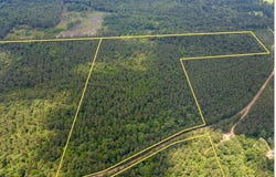 2 Posey Webb Camp Road, Sicily Island, LA 71343