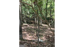 Barouche Drive, Thomaston, GA 30286