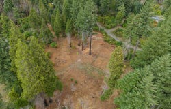 51209 BLUE RIVER Dr, Vida, OR 97488