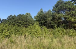Joe Hall Road, Flora, MS 39071