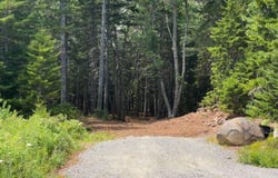 50 Bunchberry Lane, Bristol, ME 04554